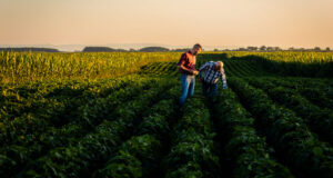 bioestimulantes que son