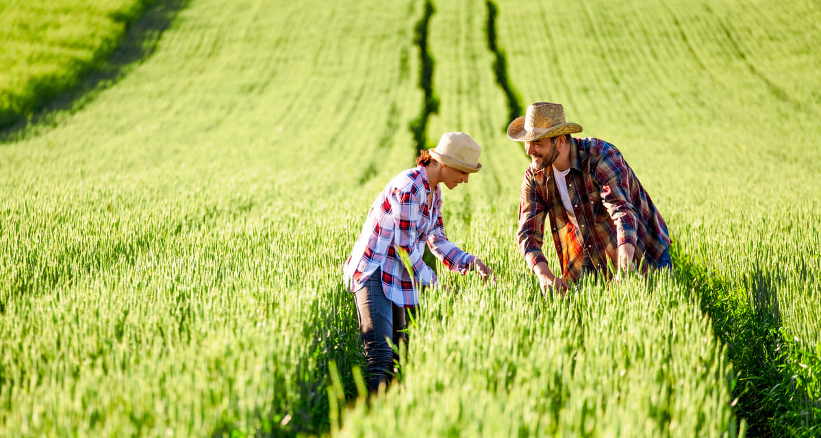 que son los bioestimulantes