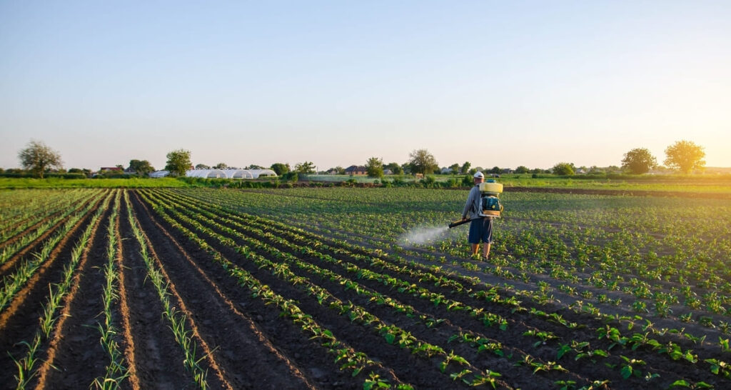 El uso de pesticidas en los cultivos a día de hoy