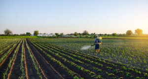 El uso de pesticidas en los cultivos a día de hoy