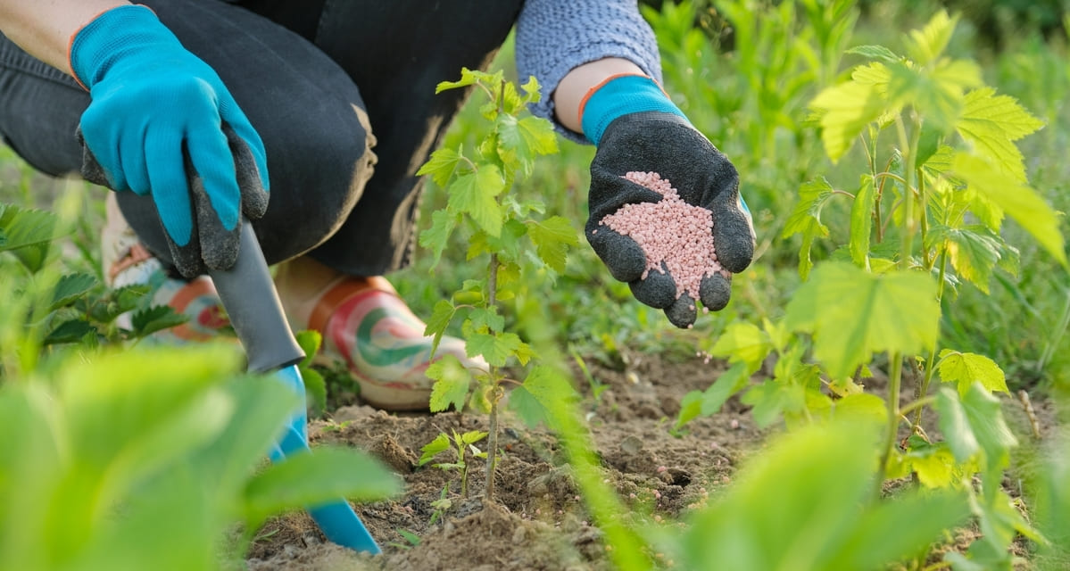 tipos de fertilizantes