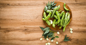 enfermedades de las habas