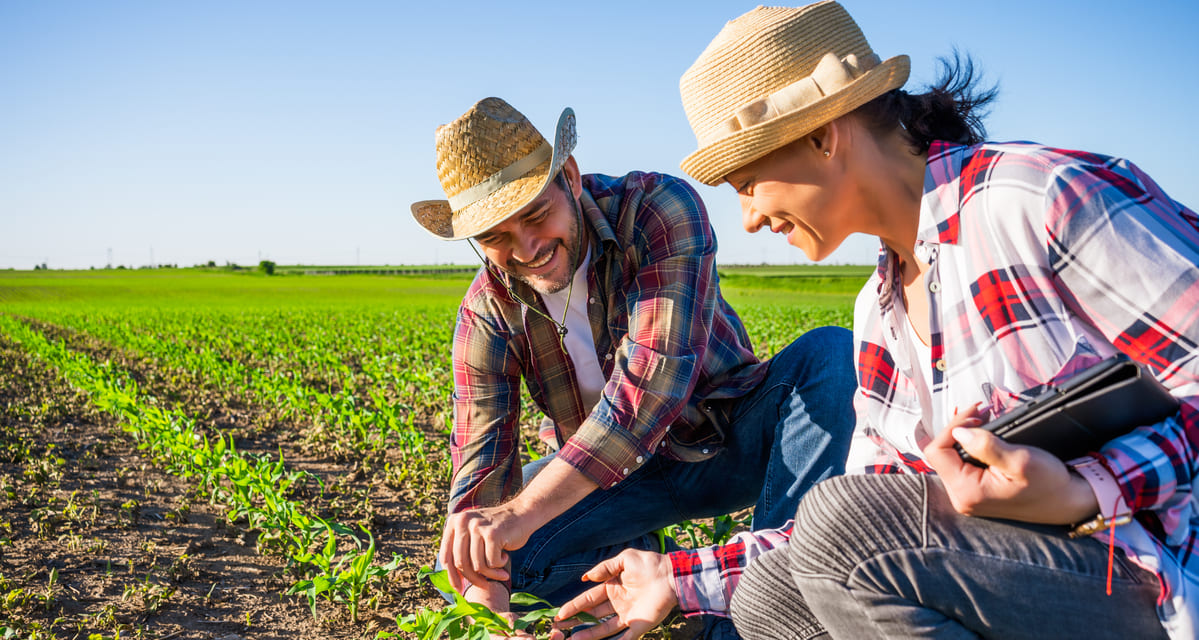 exceso de aminoacidos en las plantas